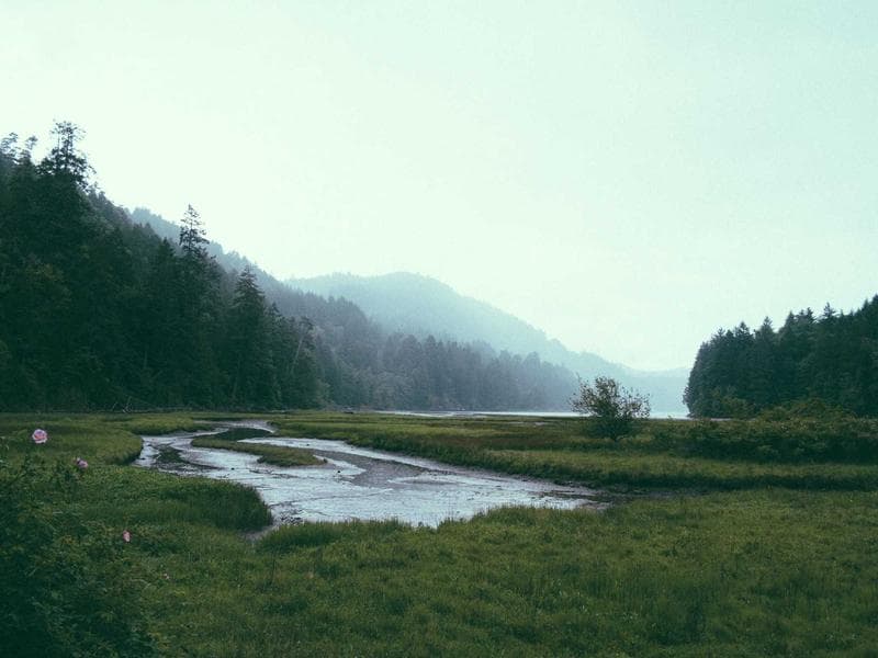 Програмиране за деца — Варна — изображение 4